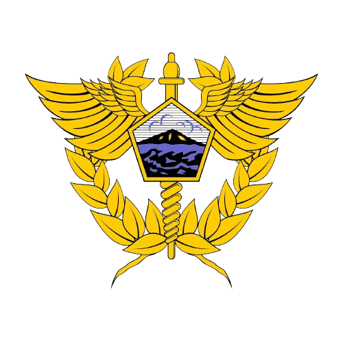 Logo Bea Cukai Bombana